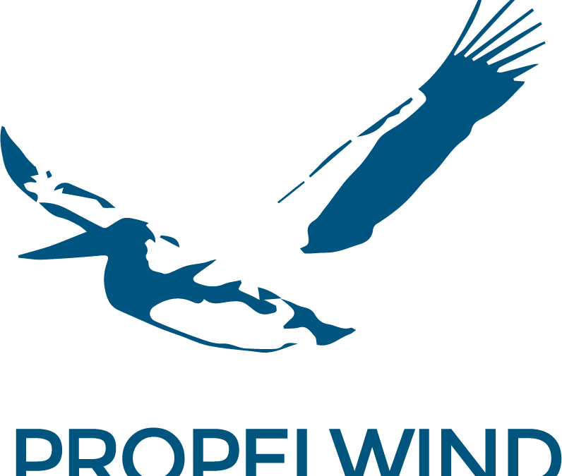 Propelwind