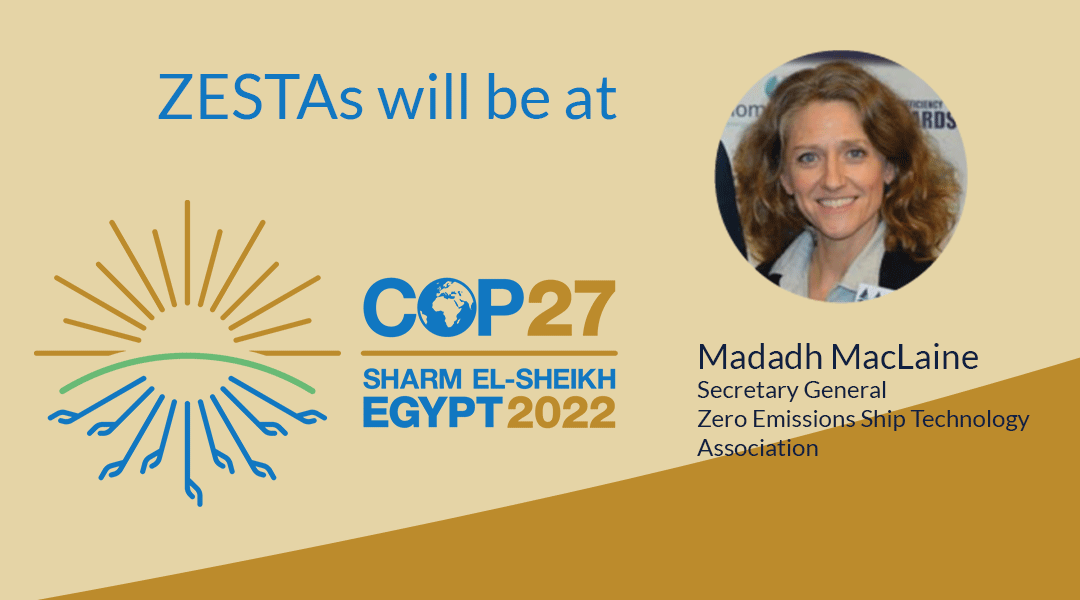 ZESTAs Secretary General Madadh MacLaine at COP27 in Egypte