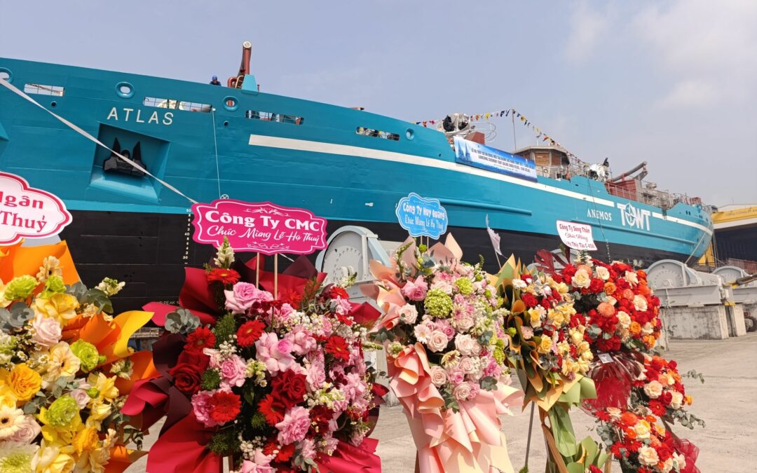 TransOceanic Wind Transport advances fleet deployment and reports real-world wind propulsion performance