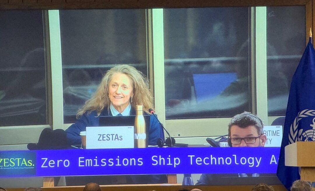 ZESTAs Secretary-General Madadh MacLaine’s Intervention on the Net Zero Framework at MEPC84