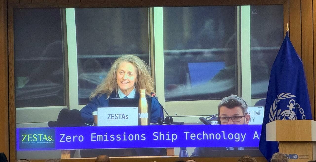 ZESTAs Secretary-General Madadh MacLaine’s Intervention on the Net Zero Framework at MEPC84