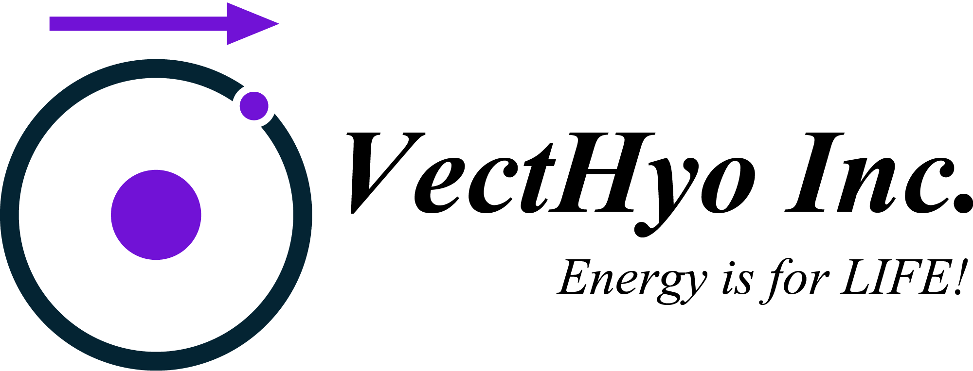 VectoHyo Logo@2000